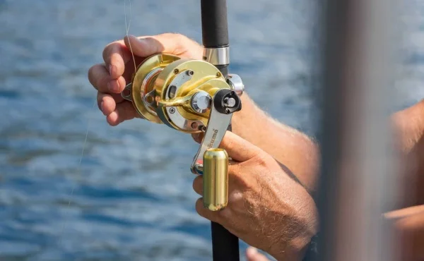 Fishing Reel