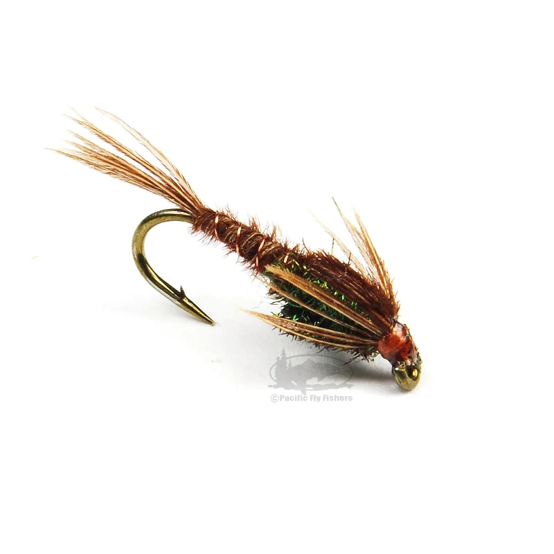 Pheasant Tail Nymph