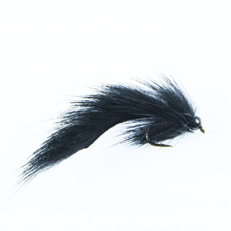 Pine Squirrel Leech