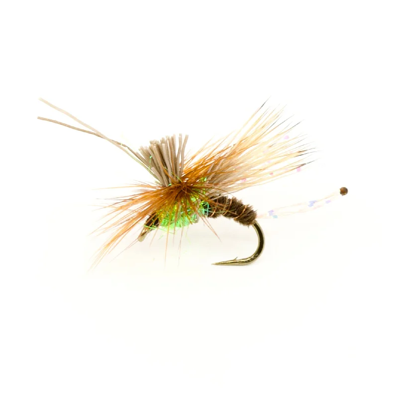 AC Caddis Pheasant Tail