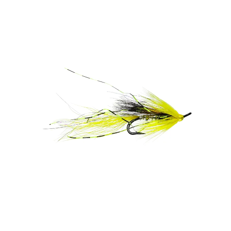 ALLY’S SHRIMP YELLOW DOUBLE