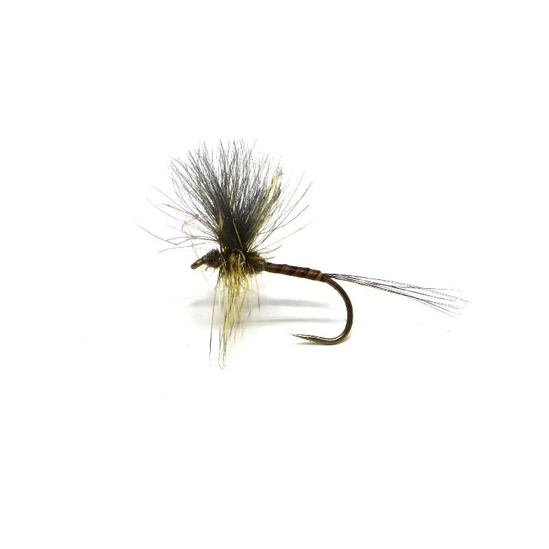 CDC Thorax Green Drake