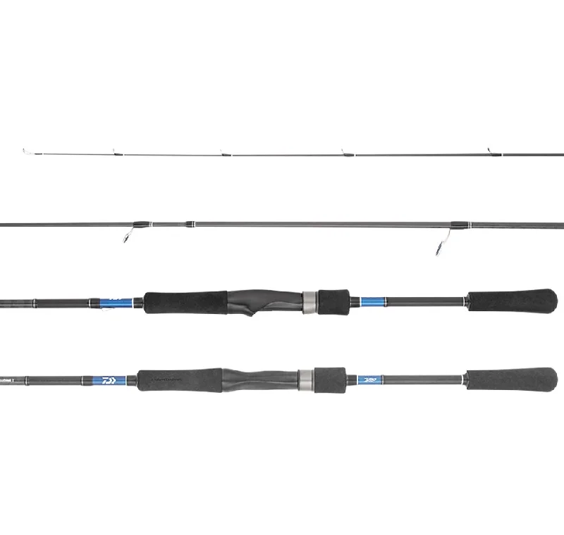 Daiwa 21 Tierra Rods