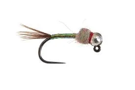 Egan's Jig Rainbow Warrior