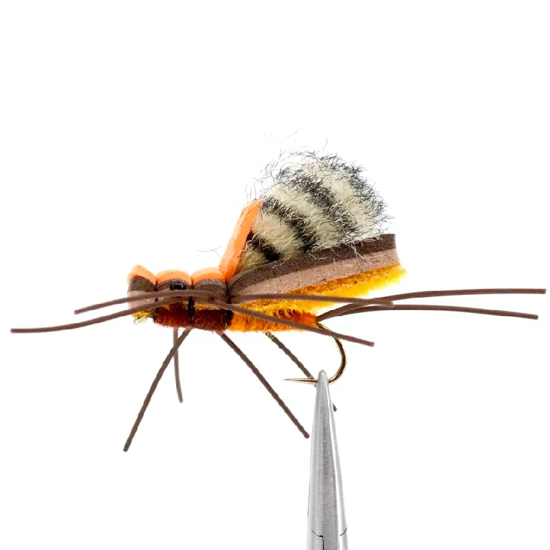 Franklin Salmonfly