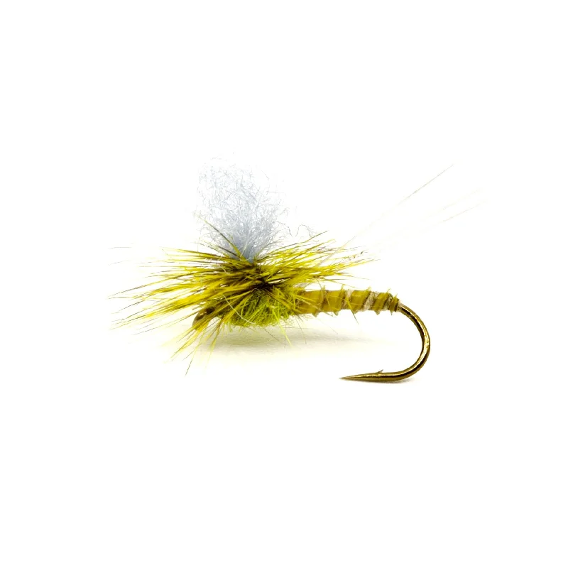 GT Adult Green Drake