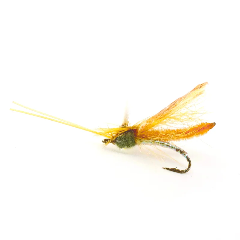 Headlight Caddis Tan