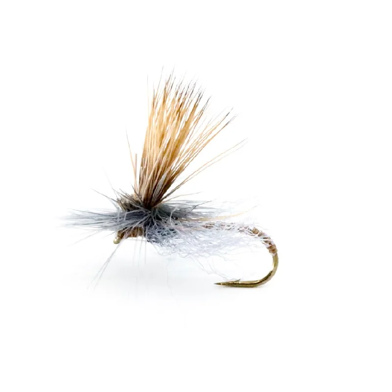 Missing Link Caddis