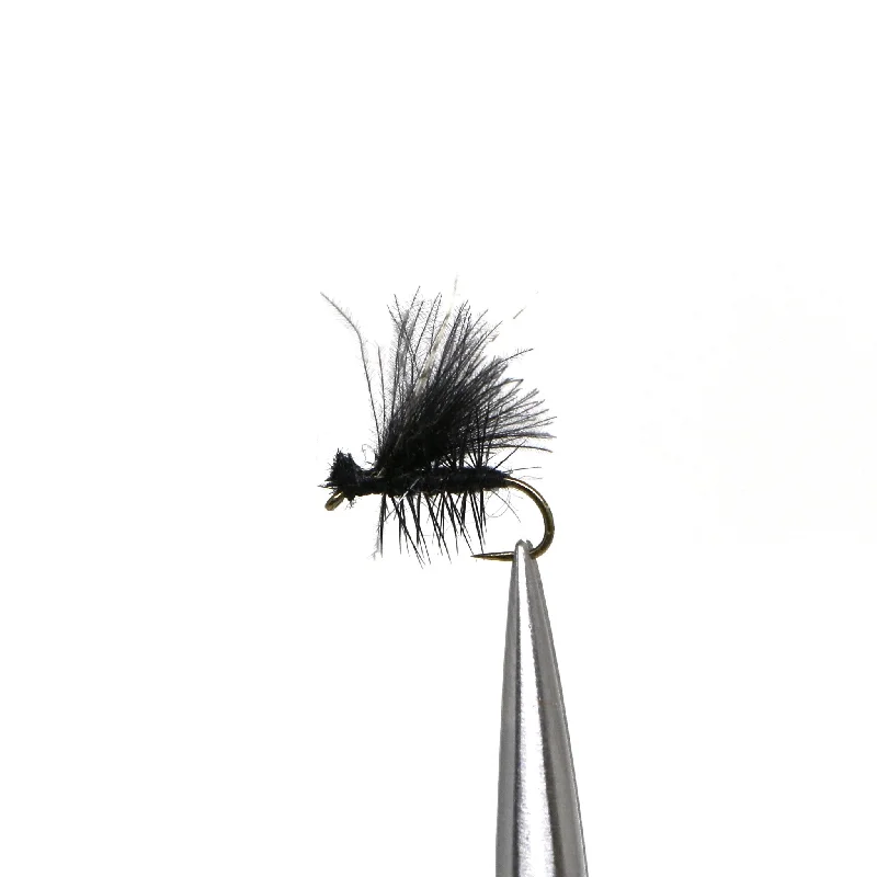 Palmer Black Caddis