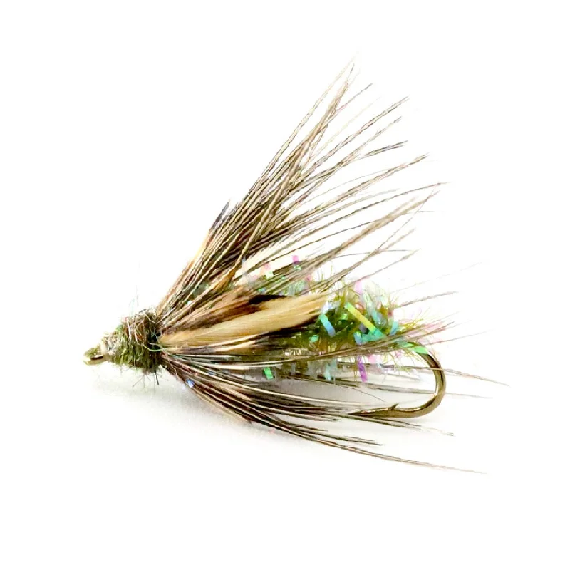 Sedge Pupa Olive