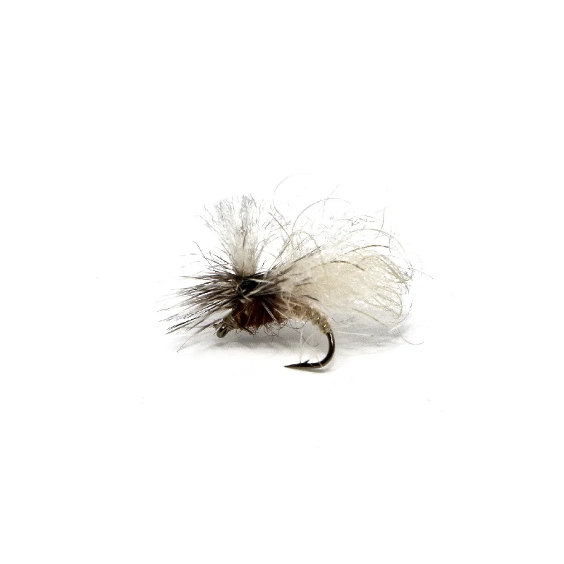 Snowshoe Caddis