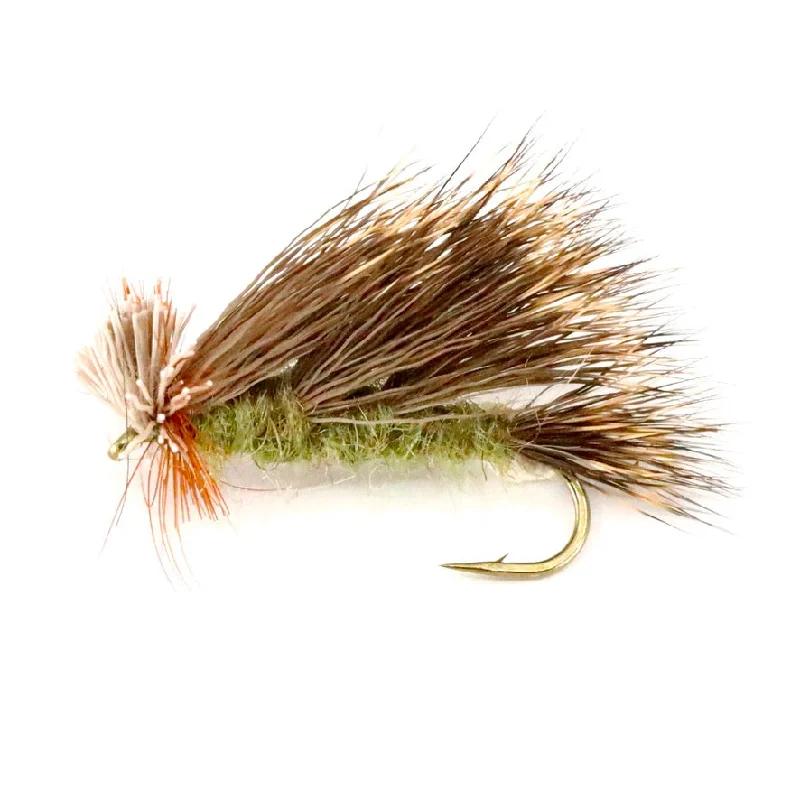 Tri-Wing Sedge Olive