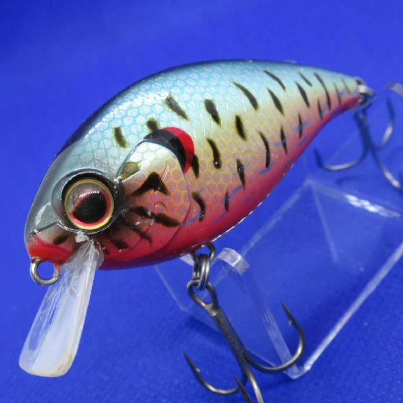 SHALLOW HAWG [Used]