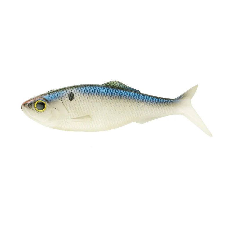 Blueback Herring