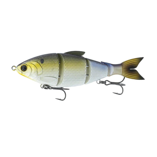 Gizzard Shad