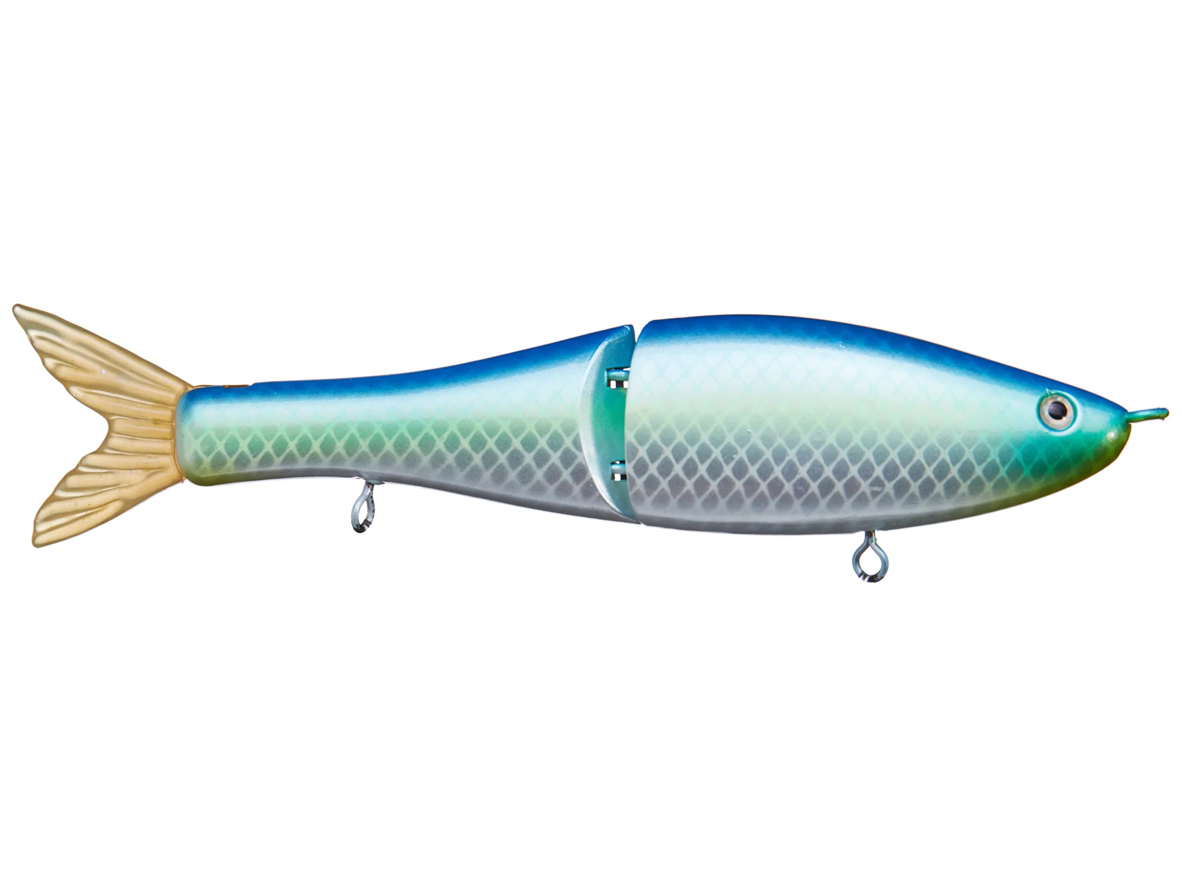 Guida's Citrus Shad