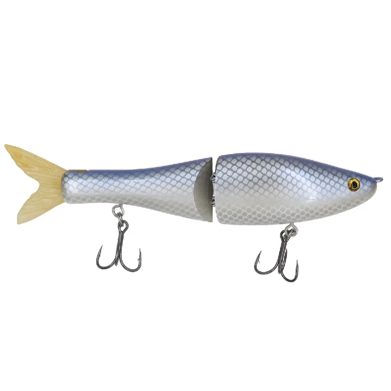 Gizzard Shad