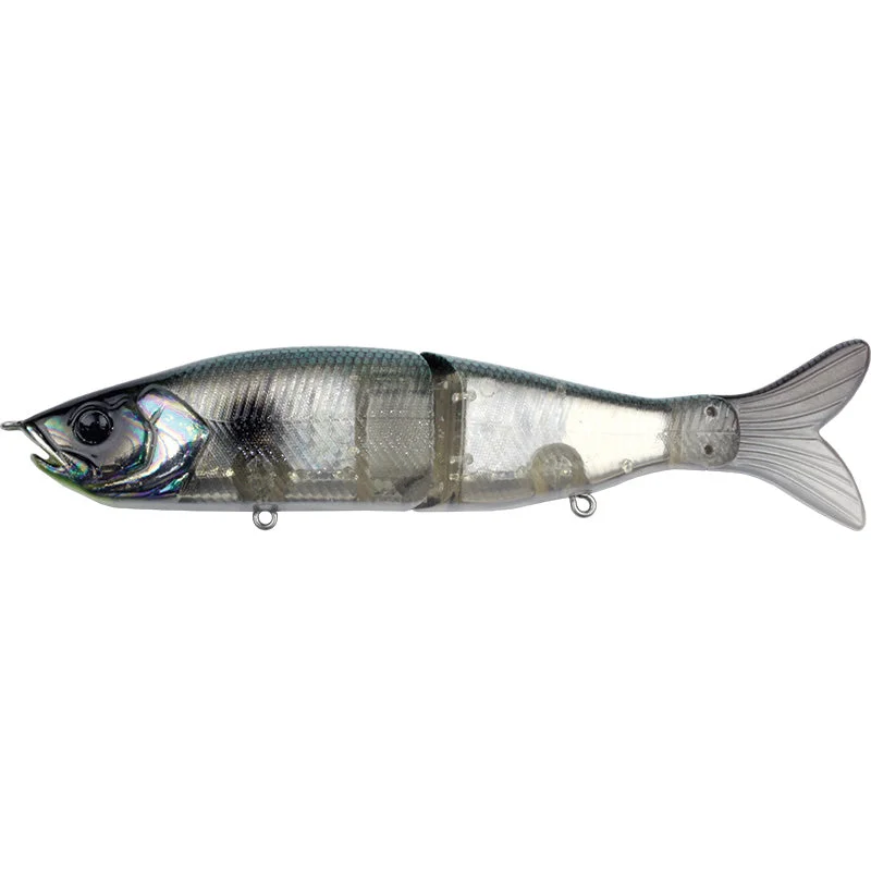 13 Abalone Shad